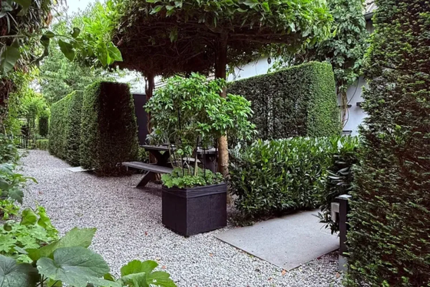 Oude Maasstraat 86 S2